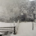 Snowy scene with a wooden fence and woods in the distance.