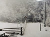 Snowy scene with a wooden fence and woods in the distance.