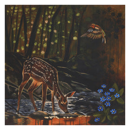 Fine art print showing a foe deer drinking from a woodland stream.