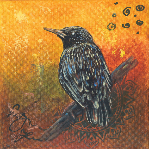 Painting of a starling 1 with vibrant feathers