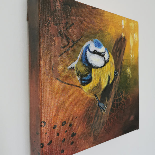 Blue Tit 2